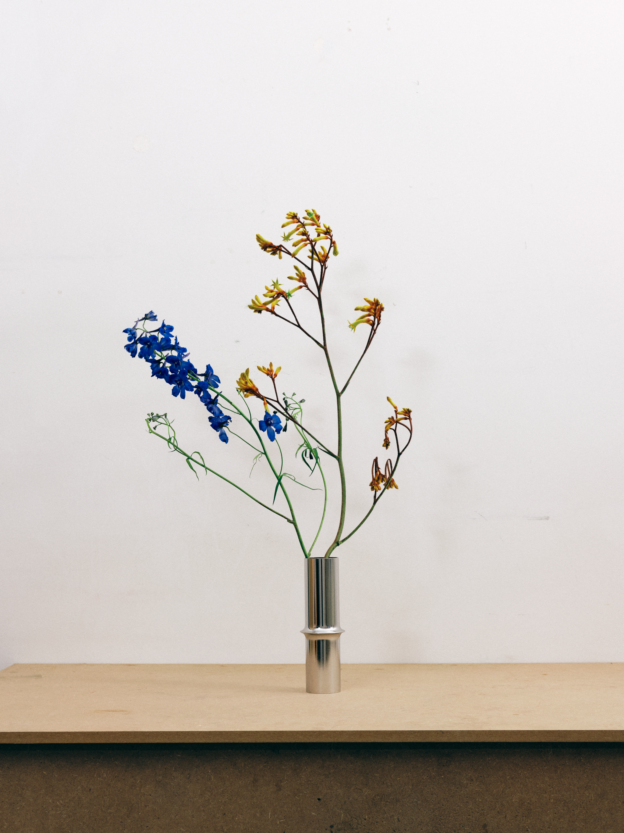Vase_01